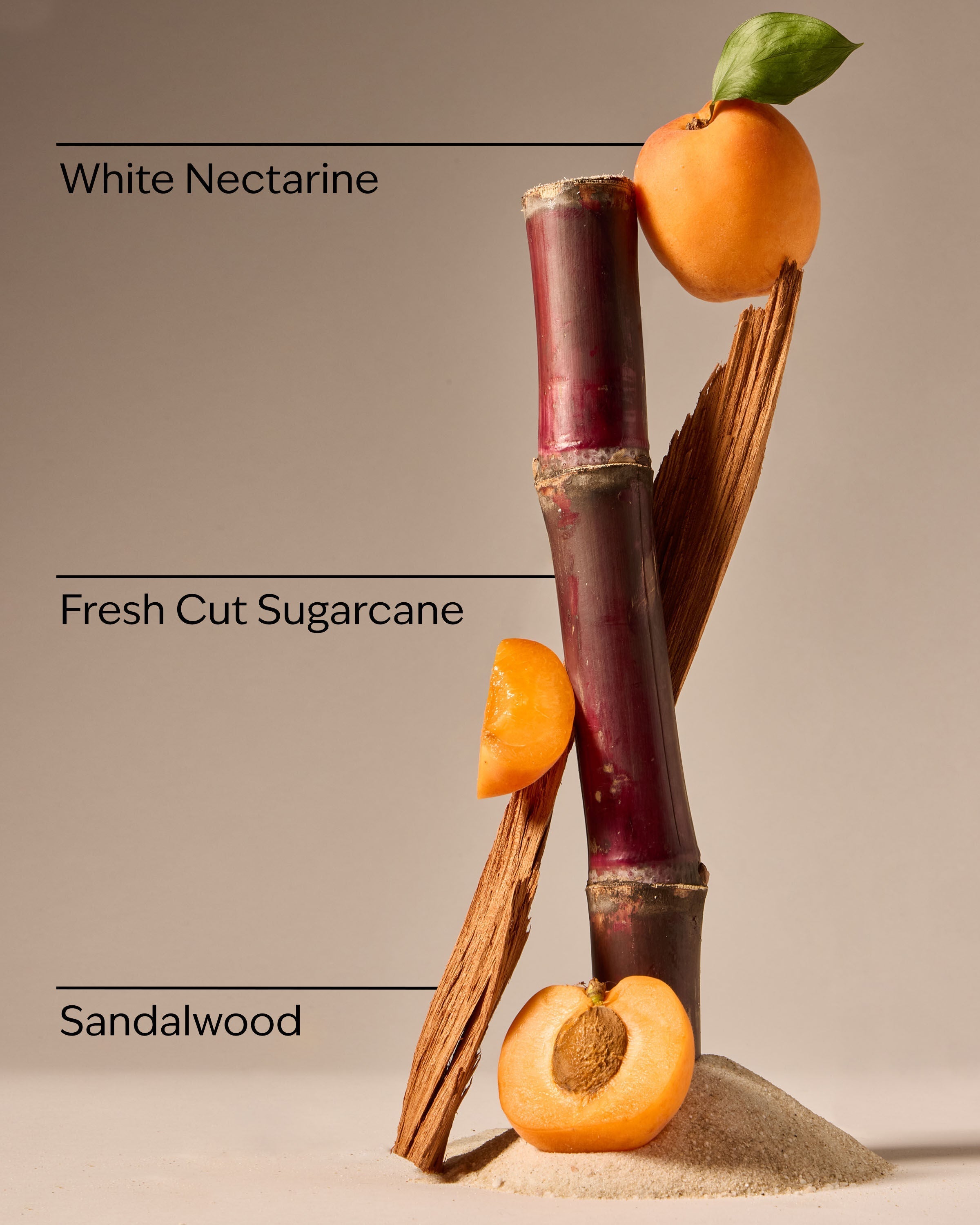 Fiji White Sands 3-Wick Candle