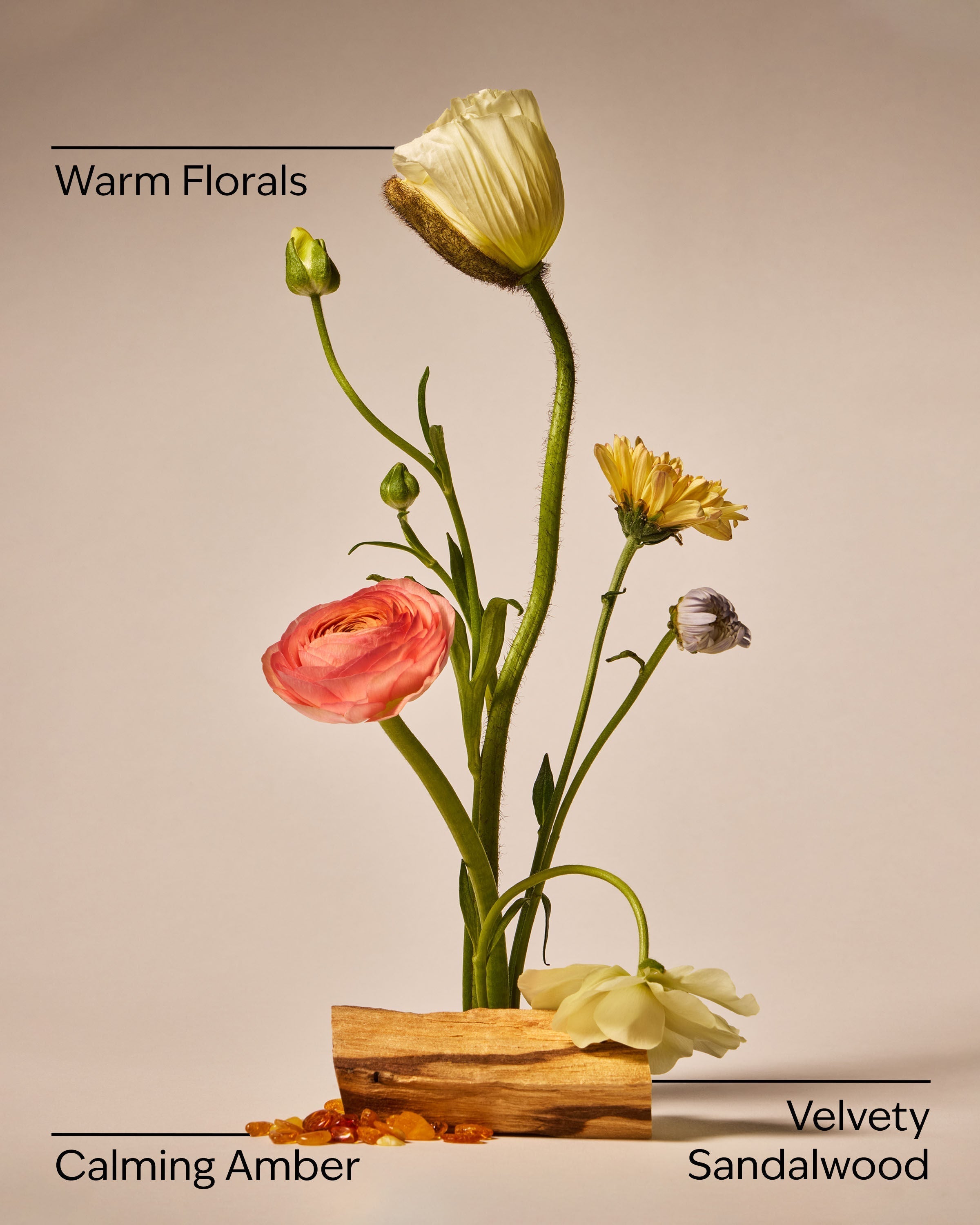 Warm Summer Evening Cleansing Gel Hand Soap